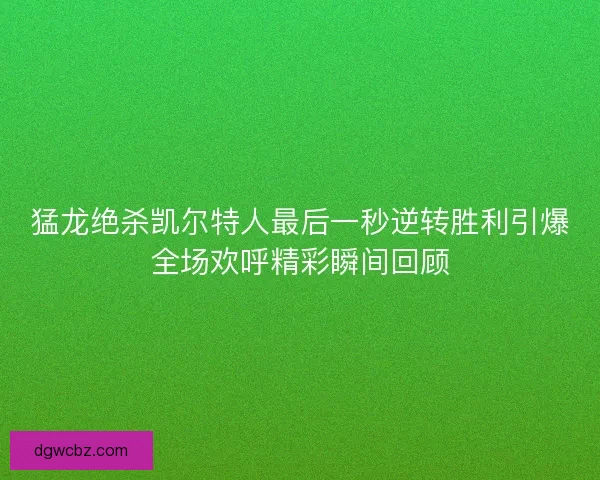 猛龙绝杀凯尔特人最后一秒逆转胜利引爆全场欢呼精彩瞬间回顾